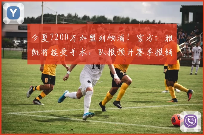 今夏7200万加盟利物浦！官方：雅凯将接受手术，队报预计赛季报销