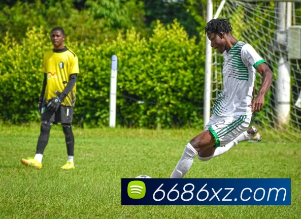 6686体育appAPP 封面图